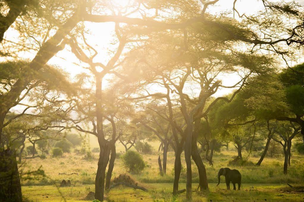 فندق Babatiفي  Sanctuary Swala المظهر الخارجي الصورة